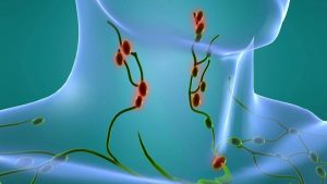 عکس غدد لنفاوی